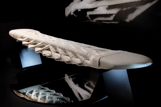 Nguyên mẫu cầu dài 10 mét của Diamanti hiện đang được trưng bày ở Venice. Ảnh: CNN.