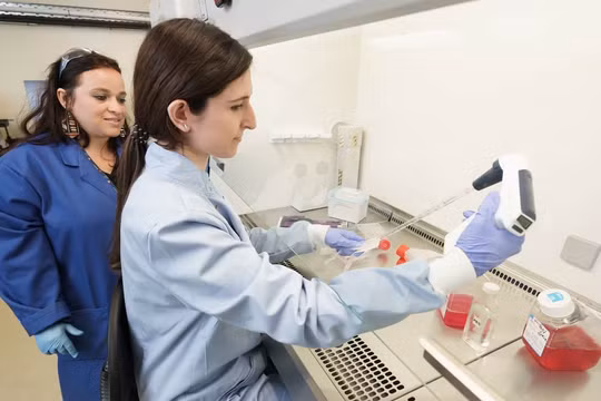 Tiến sĩ Borrello và nhóm của bà đã phát triển hai loại thuốc mới được thiết kế để ngăn chặn hoạt động của HDAC6. Ảnh: IE.