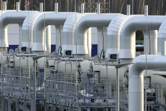 Ảnh minh họa: AP