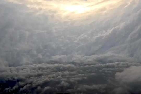 Ảnh cắt từ clip.