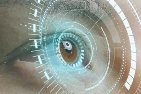 Nhóm nghiên cứu cho biết cảm biến "có tiềm năng lớn cho các ứng dụng trong tương lai trong các lĩnh vực cảm biến trí tuệ nhân tạo như lái xe tự động và robot sinh học". Ảnh: Shutterstock.