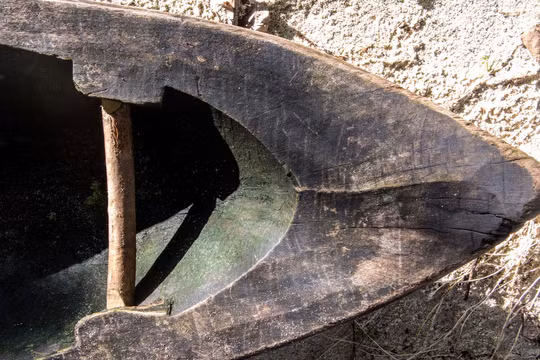 Ảnh minh họa: Getty.