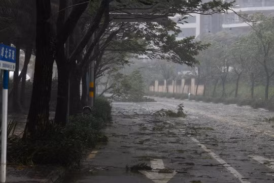 Những cành cây rơi trên đường phố trước khi siêu bão Yagi đổ bộ vào Hải Khẩu, tỉnh Hải Nam, phía nam Trung Quốc (Ảnh: Xinhua)