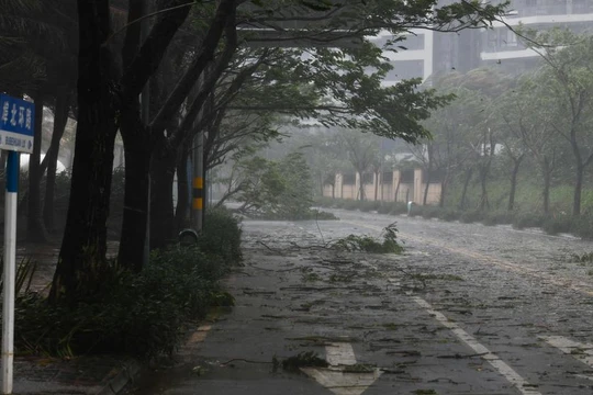 Những cành cây rơi trên đường phố trước khi siêu bão Yagi đổ bộ vào Hải Khẩu, tỉnh Hải Nam, phía nam Trung Quốc (Ảnh: Xinhua)