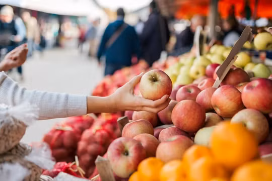 Nhóm nghiên cứu cho biết việc xác định các tác nhân chống khối u từ nguồn tự nhiên, chẳng hạn như chất dinh dưỡng trong chế độ ăn uống, vẫn là một mục tiêu quan trọng trong nghiên cứu ung thư. Ảnh: Shutterstock.