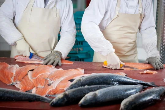 Bàn mổ cá hồi ở chợ Xinfadi, thủ đô Bắc Kinh, được cho là có dấu vết của virus corona chủng mới (Ảnh: Shutterstock)