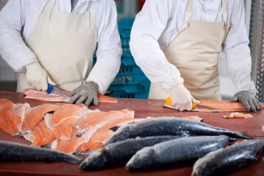 Bàn mổ cá hồi ở chợ Xinfadi, thủ đô Bắc Kinh, được cho là có dấu vết của virus corona chủng mới (Ảnh: Shutterstock)