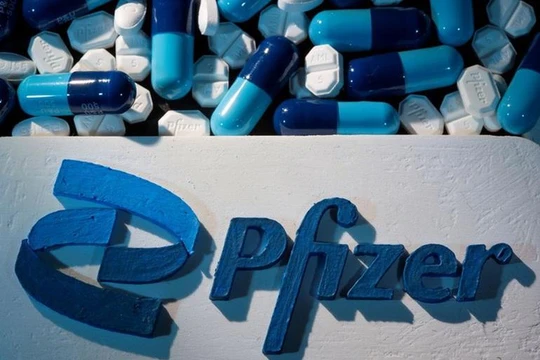 Thuốc trị Covid-19 của Pfizer có hiệu quả chống lại Omicron (Ảnh: Reuters).