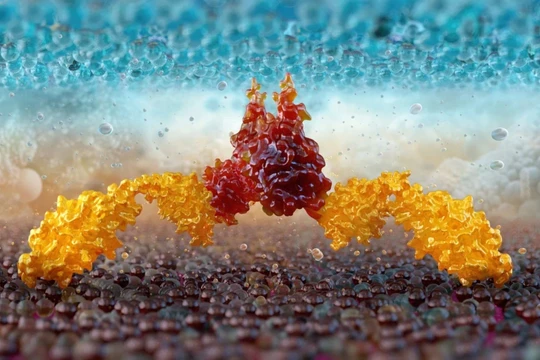 Hình ảnh 3D về liệu pháp CAR-T, cho thấy sự tương tác phân tử giữa tế bào T hoặc tế bào NK và tế bào khối u. Ảnh: Shutterstock.