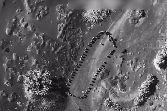 Hình ảnh trong vụ không kích nhằm vào Houthi ở Yemen. Ảnh: X.