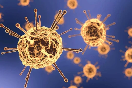 Nguồn gốc của SARS-CoV-2 được tính báo Mỹ đánh giá là tự nhiên (Ảnh: Sputnik)