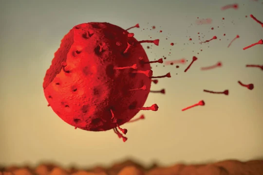 Mỹ đưa ra kết luận bất ngờ về nguồn gốc Covid-19 .Ảnh: Scientific America.