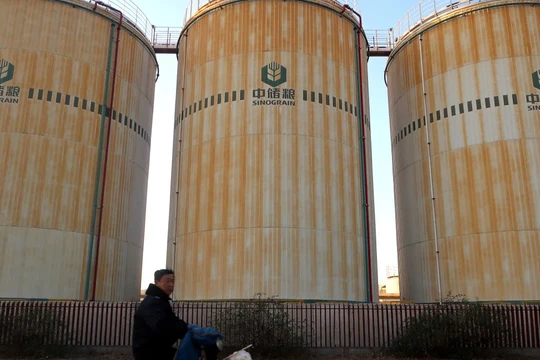 Một người đàn ông đạp xe ngang qua cơ sở lưu trữ của công ty Sinograin gần cảng Thiên Tân năm 2019 (Ảnh: Reuters)