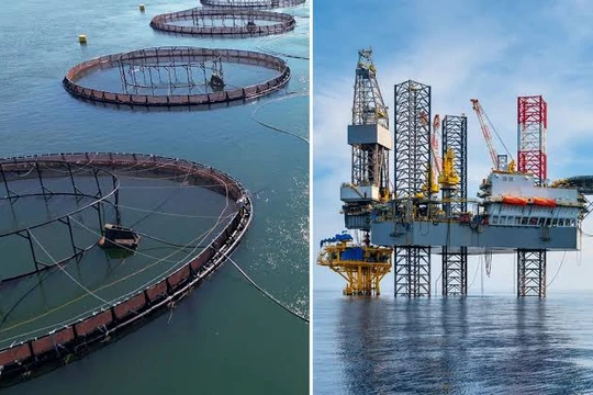 Cơ sở này có khả năng hoạt động trong điều kiện biển động. Ảnh: IE.