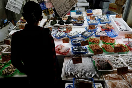 Một khách hàng đang xem hải sản tại một cửa hàng ở Tokyo, Nhật Bản ngày 19/11. Ảnh: Reuters.