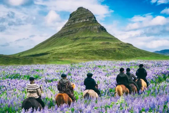 Iceland tiếp tục giữ vị trí số 1 các quốc gia hoà bình nhất thế giới (Ảnh: CNBC)