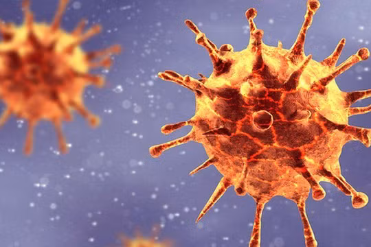 WHO vừa công bố ghi nhận 228 trường hợp trẻ bị viêm gan cấp tính không rõ nguyên nhân tại 20 quốc gia (ảnh minh hoạ)