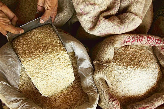 Giá gạo tăng vọt sẽ ảnh hưởng tới những người nghèo nhất trên thế giới (Ảnh: Mint)