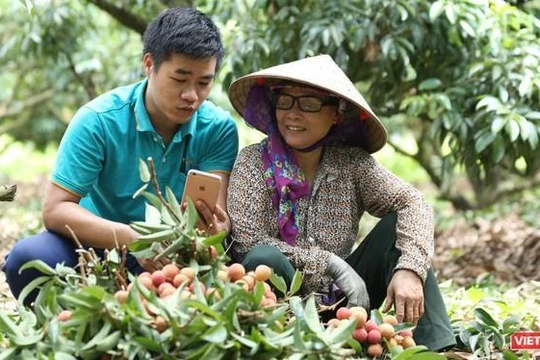 Mỗi hộ gia đình sẽ tạo gian hàng và chủ động đăng bán các sản phẩm trên sàn thương mại điện tử