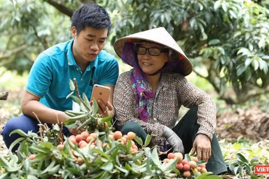 Mỗi hộ gia đình sẽ tạo gian hàng và chủ động đăng bán các sản phẩm trên sàn thương mại điện tử