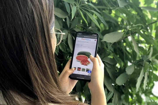 Các nông sản mùa vụ được đưa lên sàn thương mại điện tử.