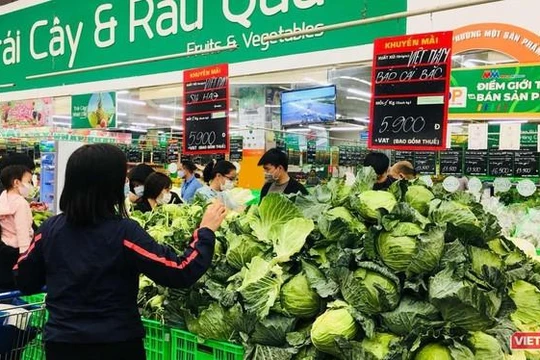 Su hào và bắp cải của Hải Dương được bán với giá 5.900 đồng/kg.