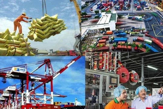 Phấn đấu tỉ trọng kinh tế số đạt 20% GDP vào năm 2025. Ảnh minh họa.