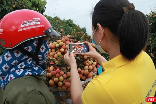 Nhân viên Bưu điện hỗ trợ nông dân đưa nông sản lên sàn TMĐT Postmart.