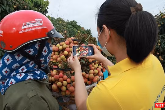 Nhân viên Bưu điện hỗ trợ nông dân đưa nông sản lên sàn TMĐT Postmart.