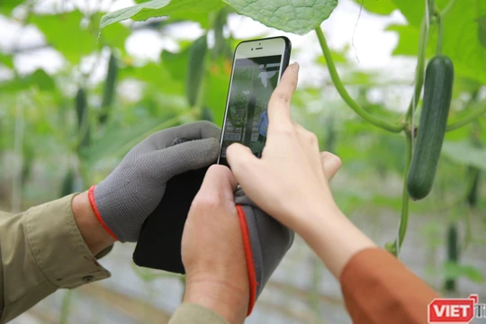 Nông dân được hỗ trợ tiếp cận nền tảng kinh doanh số.