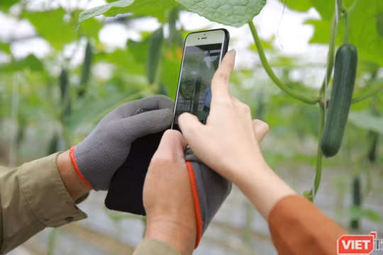 Nông dân được hỗ trợ tiếp cận nền tảng kinh doanh số.