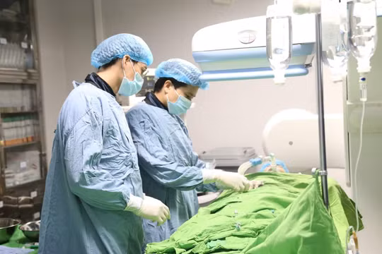 Bác sĩ của Bệnh viện đa khoa tỉnh Phú Thọ phẫu thuật cho bệnh nhi.