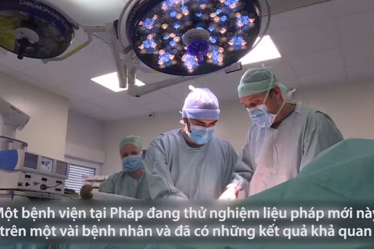 Nhóm bác sĩ phẫu thuật của Bệnh viện Georges-Francois Leclerc tại Pháp
