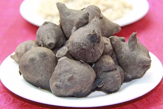 Củ ấu tàu là loại thuốc đông y quý nhưng rất độc