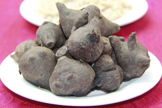 Củ ấu tàu là loại thuốc đông y quý nhưng rất độc