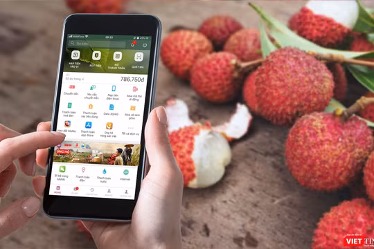 Người dùng có thể mua nông sản trên ứng dụng ví điện tử MoMo.