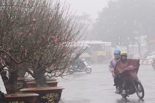 Ảnh: Ngày mới online.