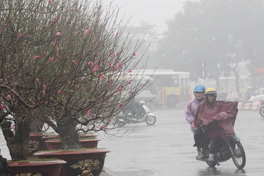 Ảnh: Ngày mới online.