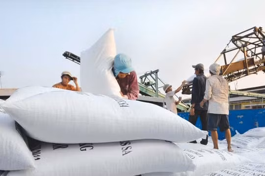 Thủ tướng "chốt" tạm dừng ký hợp đồng xuất khẩu gạo mới. Ảnh: VPCP.