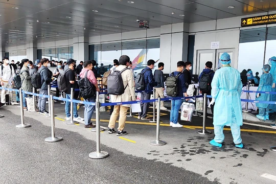 Các chuyên gia đến từ Hàn Quốc làm thủ tục nhập cảnh và kiểm tra y tế tại Cảng hàng không quốc tế Vân Đồn. Ảnh: UBND tỉnh Quảng Ninh.