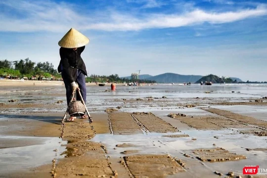 Dù mức thu nhập không cao nhưng bà Bông vẫn luôn gắn bó với nghề.