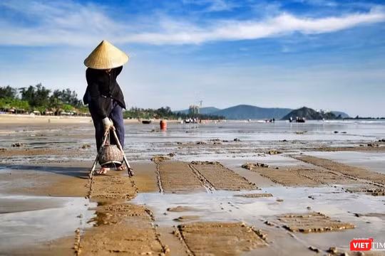 Dù mức thu nhập không cao nhưng bà Bông vẫn luôn gắn bó với nghề.