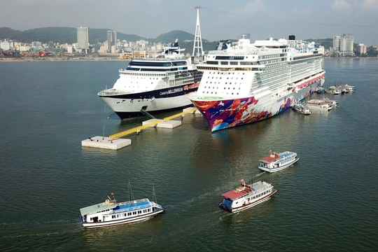 Mặc dù đang thời gian chống dịch COVID-19, nhưng Quảng Ninh vẫn là điểm đến thu hút nhiều hãng tàu đưa khách du lịch tàu biển tới tham quan. Ảnh minh họa: quangninh.gov.vn.