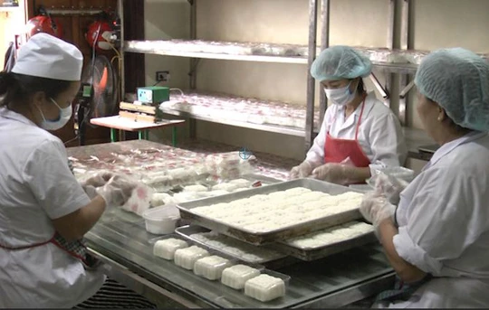 Việc có tiêu chuẩn quốc gia về bánh nướng bánh dẻo sẽ đảm bảo được quyền lợi của người tiêu dùng và quyền lợi của nhà sản xuất chân chính. 