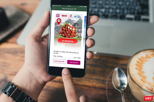 Người dân Thủ đô có thể vào Ứng dụng Ví MoMo và đặt mua Vải thiều Lục Ngạn.