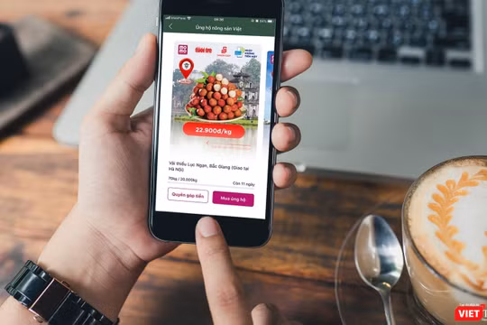 Người dân Thủ đô có thể vào Ứng dụng Ví MoMo và đặt mua Vải thiều Lục Ngạn.