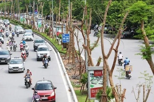 Các biện pháp bảo vệ sức khỏe cộng đồng trước ảnh hưởng của ô nhiễm không khí 