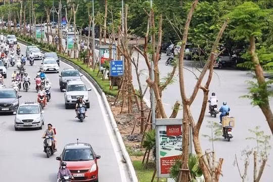 Các biện pháp bảo vệ sức khỏe cộng đồng trước ảnh hưởng của ô nhiễm không khí 