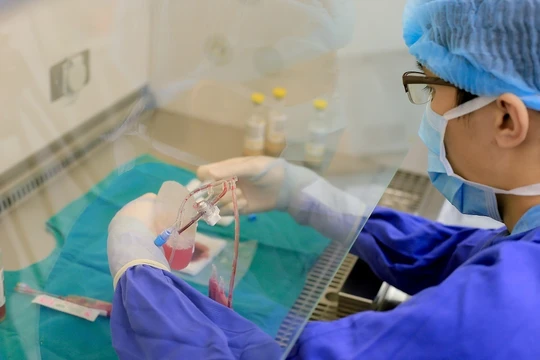 Vinmec đã sử dụng cơ chế tế bào gốc sau khi được tách chiết, truyền vào cơ thể người bệnh sẽ giúp tiết ra một số chất như “siêu vitamin” để nghiên cứu điều trị nhiều bệnh phức tạp