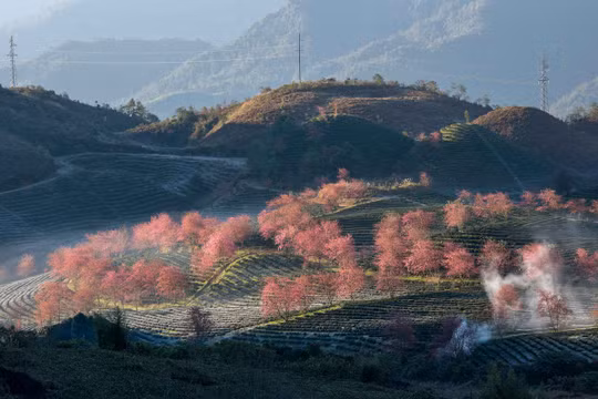 Chưa khi nào đi du lịch Sa Pa lại “được” nhiều như lúc này